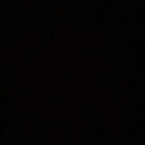 Meet your Posher, Brody